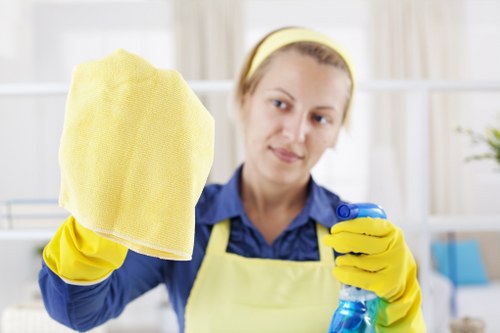 Deep carpet cleaning equipment in a Brixton property