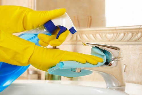 Professional Brixton carpet cleaning treatment in a busy living room