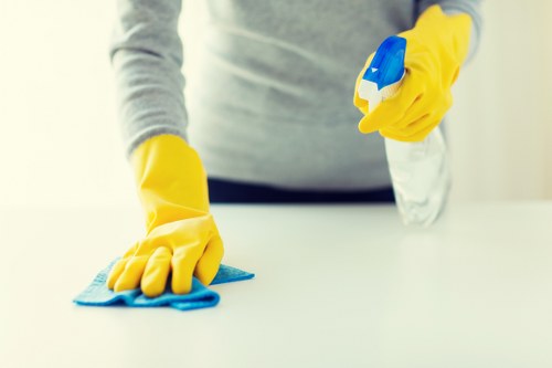 Streak-free Brixton window cleaning for residential properties