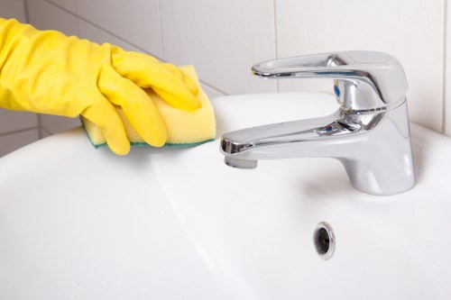 Professional carpet cleaning service method and liability guidance