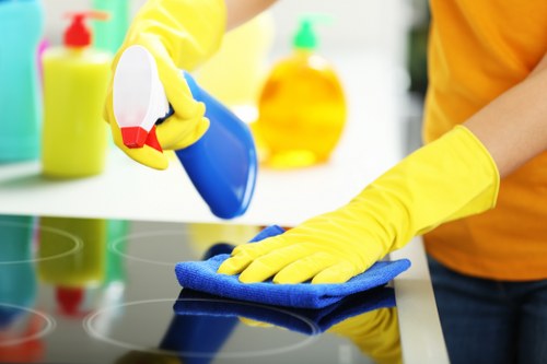 Regular window cleaning service in Brixton with clear results