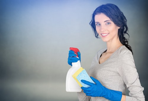 Exterior window cleaning for homes and flats in Brixton